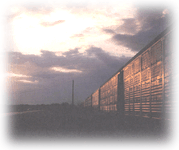夕陽映照下的西行列車
