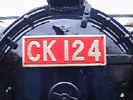 CK124 ʪO